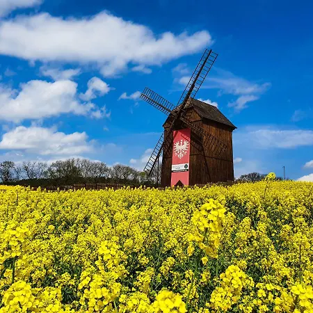 Olandia Üdülőközpont