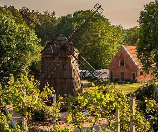 Olandia كفيلتش