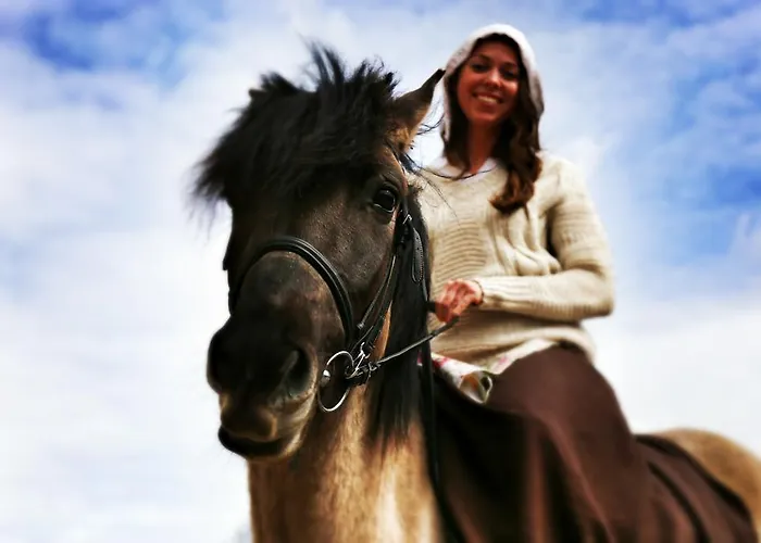 Olandia كفيلتش