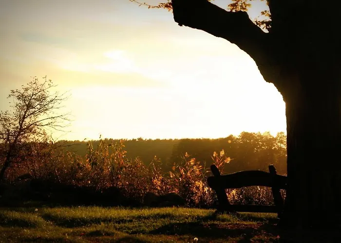 Olandia 4* كفيلتش